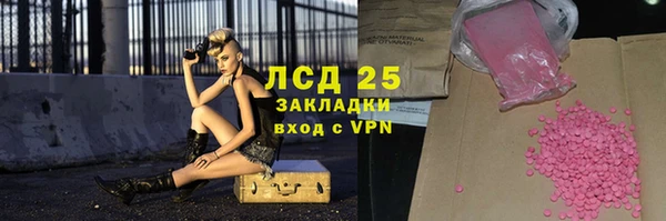 PSILOCYBIN Лабытнанги