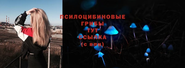 PSILOCYBIN Лабытнанги
