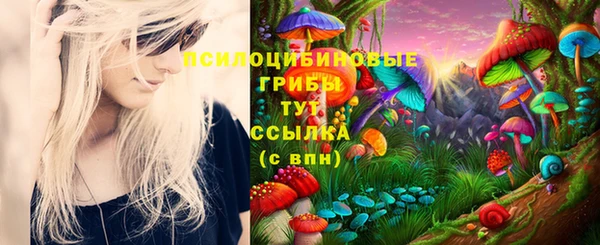 спайс Лагань