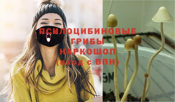 шишки Ладушкин