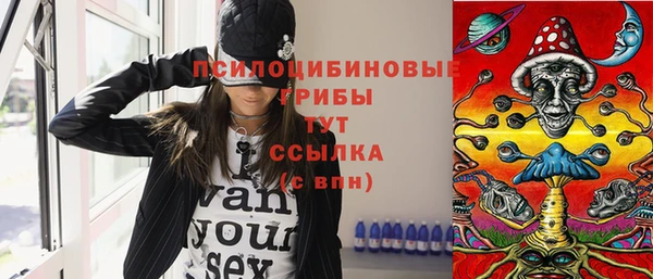 шишки Ладушкин