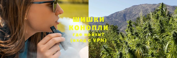спайс Лагань