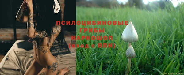 спайс Лагань