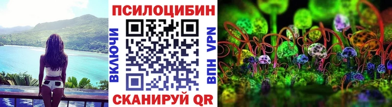 Галлюциногенные грибы Psilocybine cubensis  Тында 